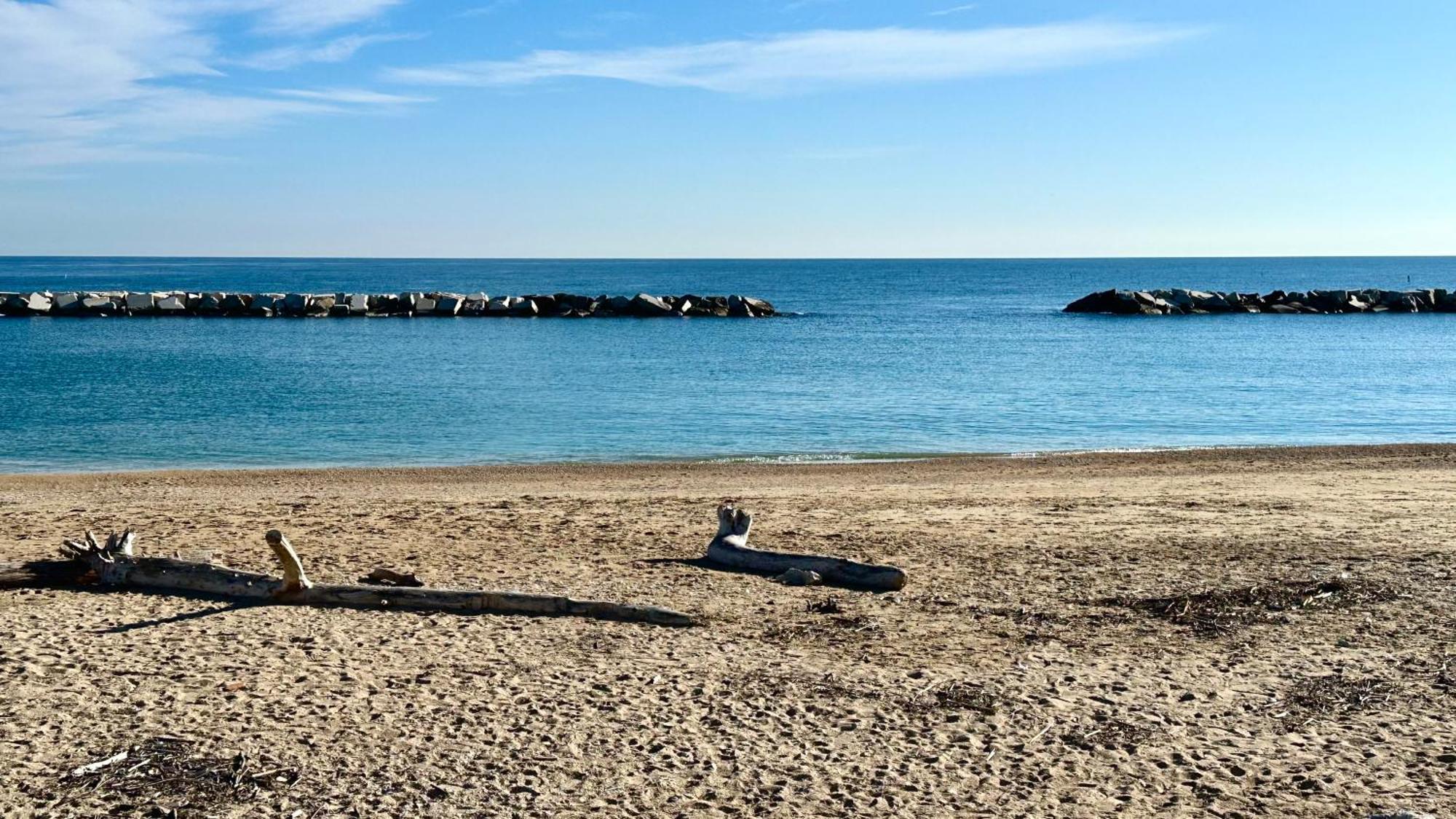 P020 - Porto Recanati, Nuovo Trilocale Con Giardino Luaran gambar